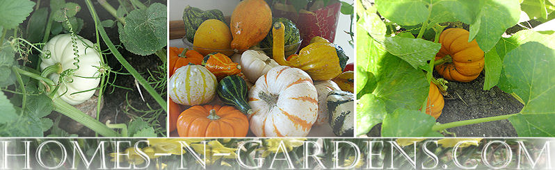 gourds seedpackets craft printable