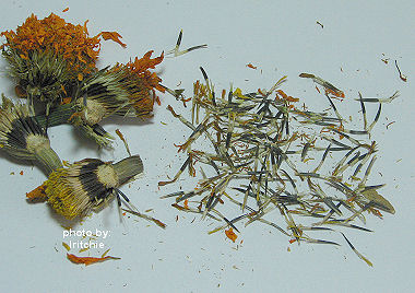 marigold seeds