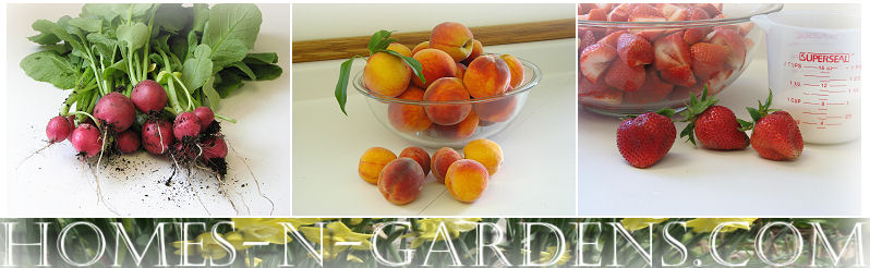 recipes from the kitchen garden