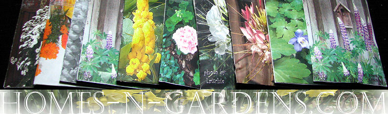 printables vegetables,herbs,gourds,squash,pumpkin seedpackets 