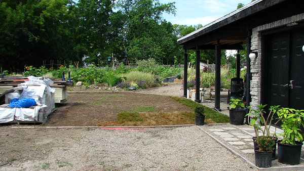 backyard lawn started