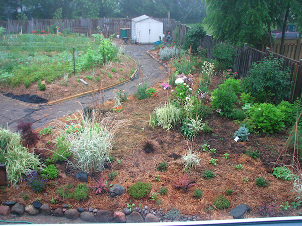 vegetable raised bed and backyard in bloom 