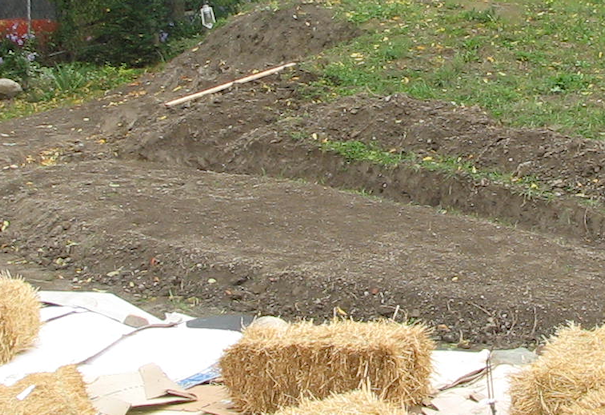 raised beds started