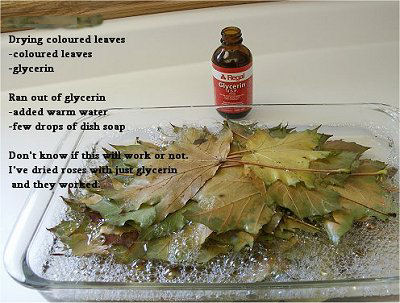 fall leaves glycerin solution recipe