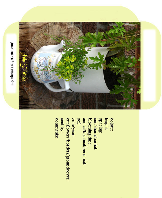 large seed packet printable for flowers