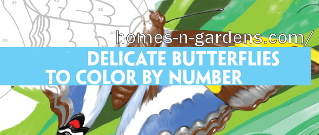 creative haven color by number butterflies by Jan Sovak