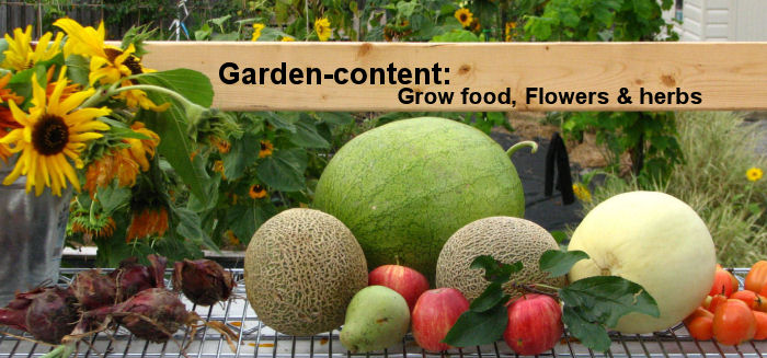 gardening content banner