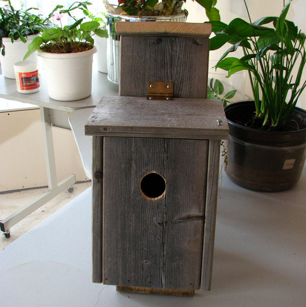 Birdhouse made by Karen