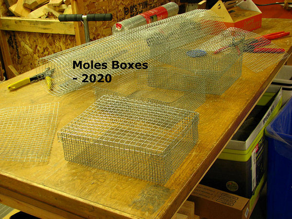 boxes for moles, voles , mice