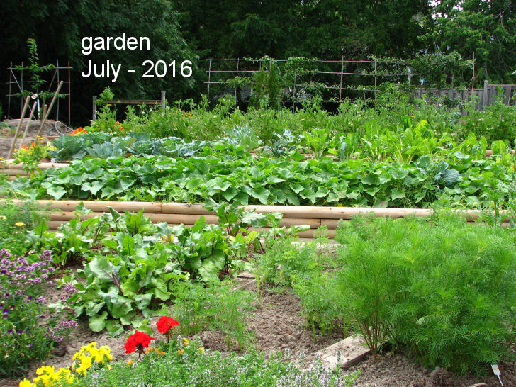 soil for raised beds