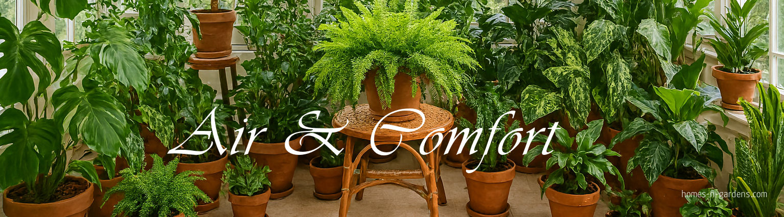 Indoor plants creating a comfortable home