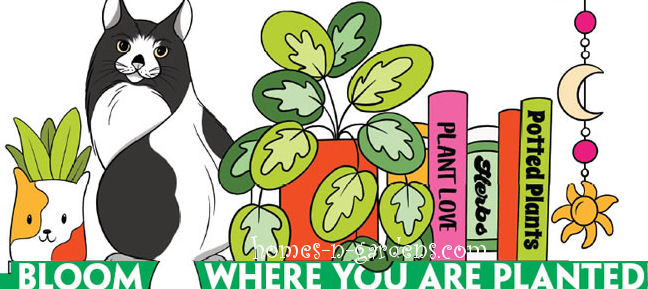 bloom where you are planted coloring pages logo