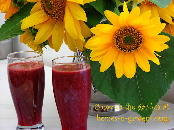 Garden Tips