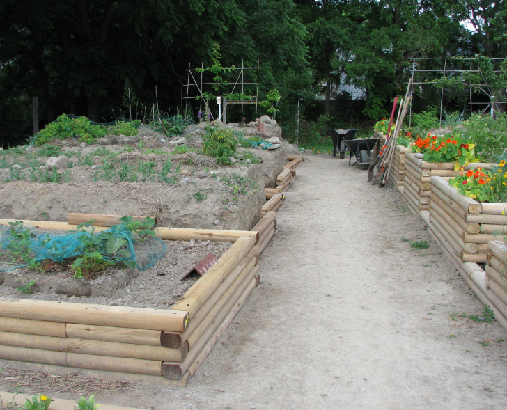 picture of my raised beds