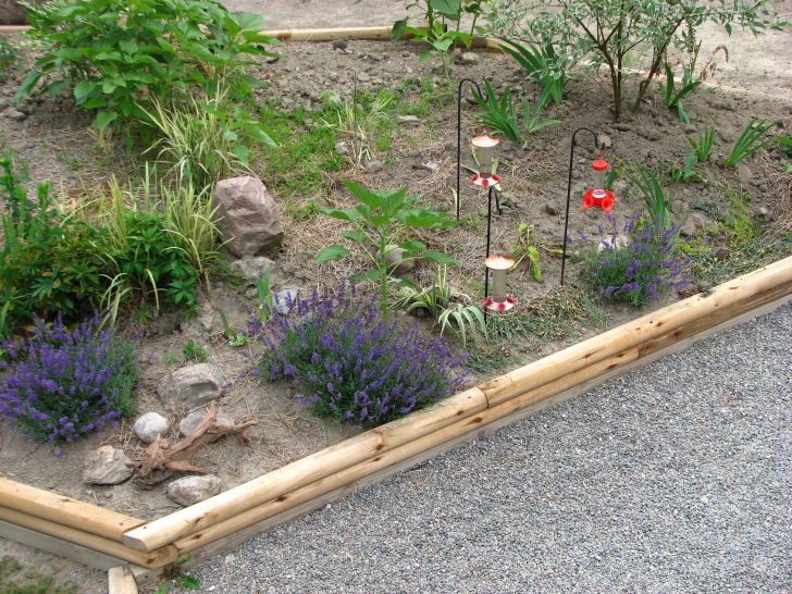picture of flower garden raised beds