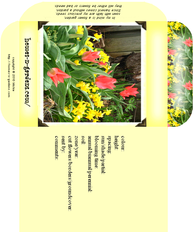 seed packets, flowers