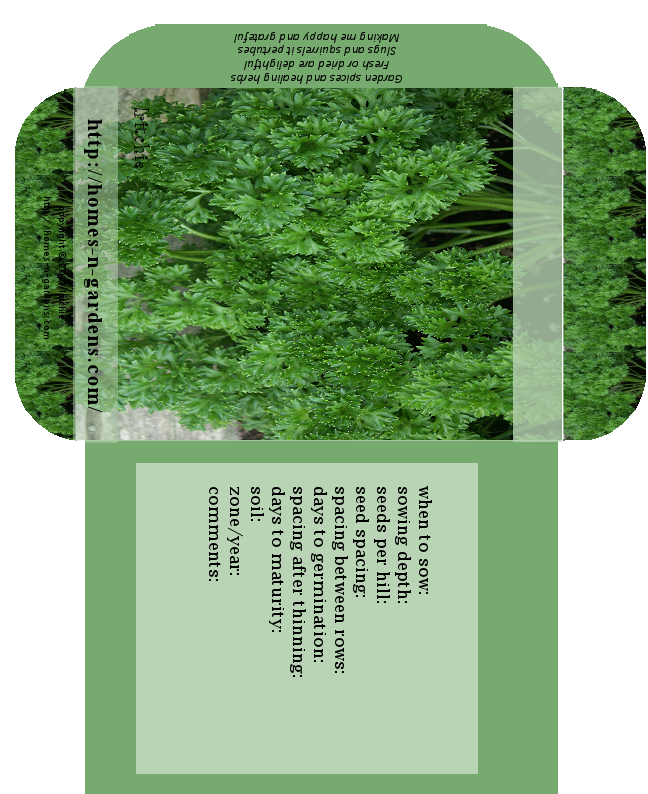 seed packet for herbs and spices - parsley seeds